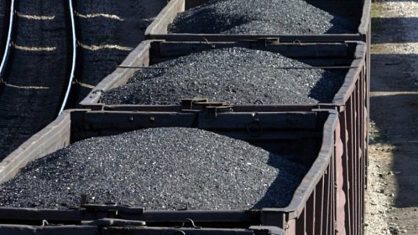 В Локтевский район Алтайского края возобновили поставки угля из Казахстана