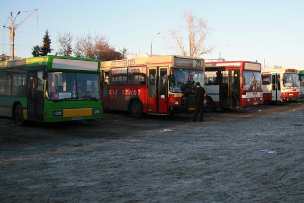Власти оценили шансы Барнаула получить деньги на обновление общественного транспорта - KP.Ru