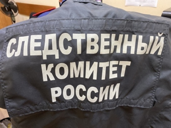 За год в Алтайском крае уволили более 20 силовиков-коррупционеров