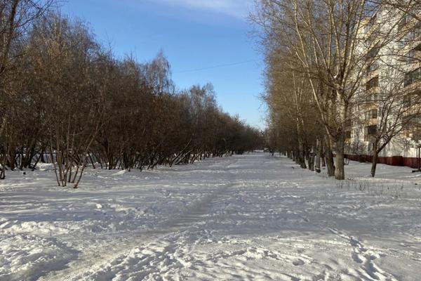 Администрация Барнаула ответила на жалобы горожан по нечищенным тротуарам - KP.Ru