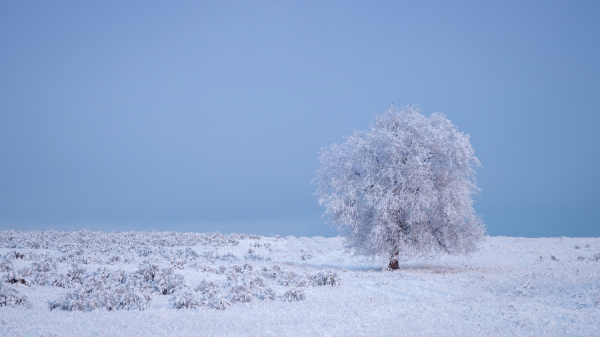Без крещенских морозов. Почему на Алтайский край 18−20 января не обрушатся холода