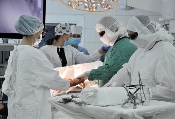 На Алтае хирурги впервые эндоскопически удалили раковую опухоль поджелудочной железы - KP.Ru