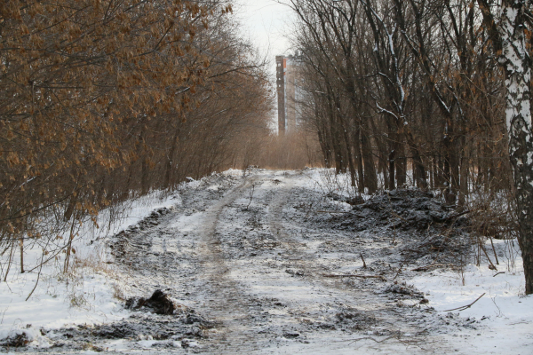 Что произошло в Алтайском крае с 7 по 13 февраля