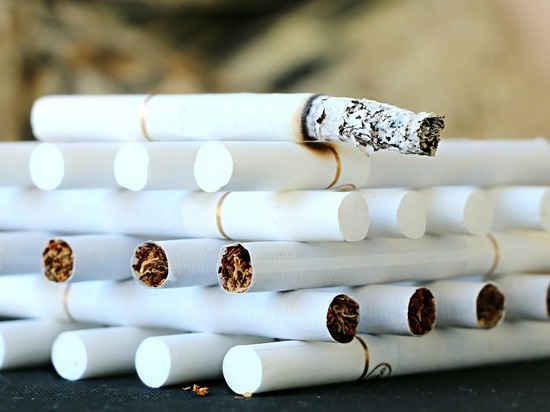 На Алтае изъяли 1200 пачек «паленых» сигарет