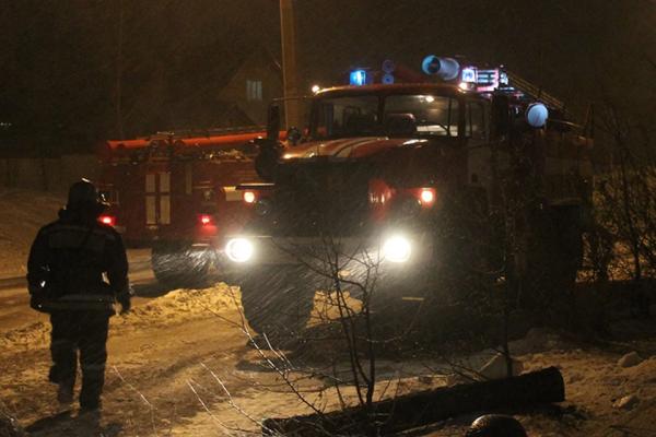 Почти 50 человек с начала года погибли на пожарах в Алтайском крае - KP.Ru