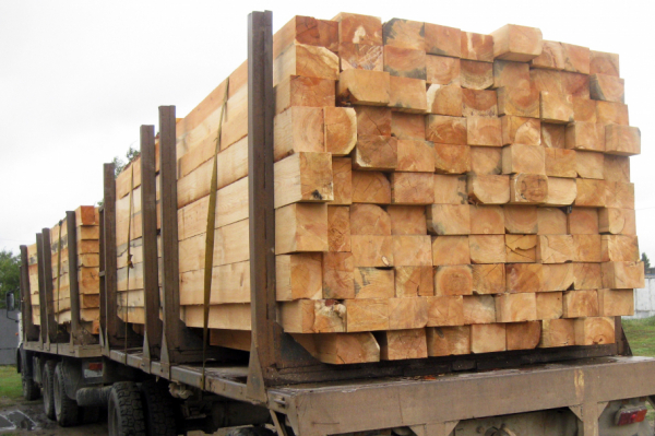 Сколько кубометров леса незаконно вывезли из Алтайского края в другие страны