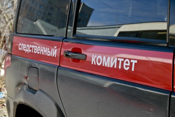 В Барнауле двухлетний малыш выпал с шестого этажа и выжил благодаря сугробу - KP.Ru