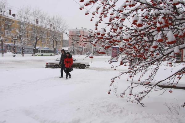 Минувшая зима в Барнауле стала одной из самых теплых за последние 55 лет - KP.Ru