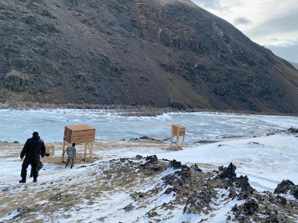 На Алтае впервые выпустят в природу взрослую пару конфискованных соколов