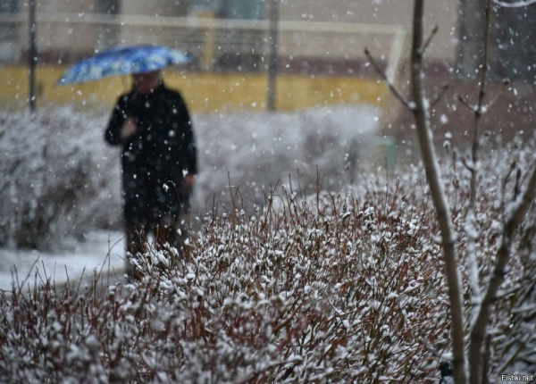 Погода 23 марта в Алтайском крае: мокрый снег, метель, ветер и до +1 градуса