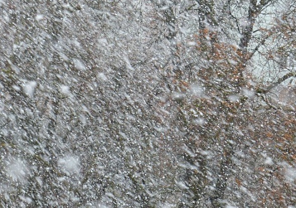 Погода 30 марта в Алтайском крае: штормпрогноз из-за ветра и снега