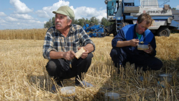 Продам комбайн на запчасти дорого. Алтайские аграрии говорят о проблемах с техникой и «золотых» комплектующих