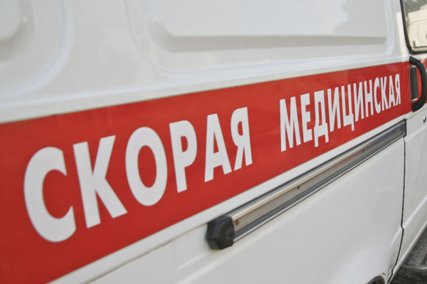 Семилетний ребенок и женщина погибли в массовом ДТП в Барнауле - KP.Ru