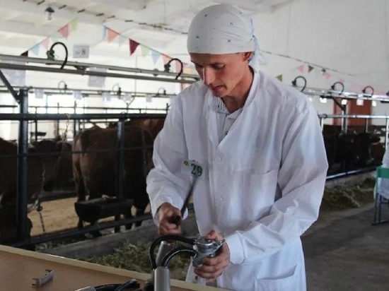 В Алтайском крае молодой животновод установил рекорд по надою молока