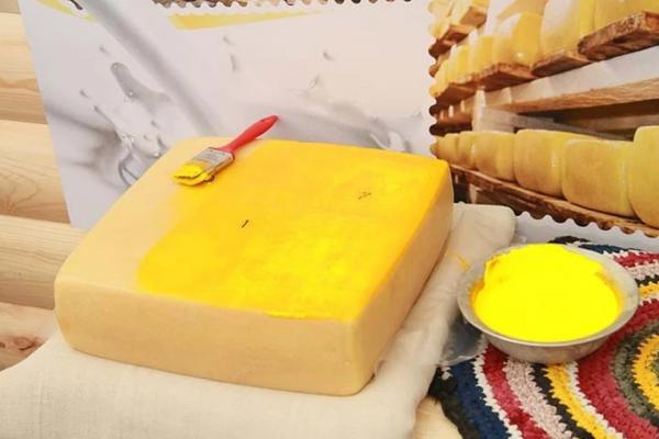Алтайские ученые создали фермент для создания импортозамещающего сыра - KP.Ru