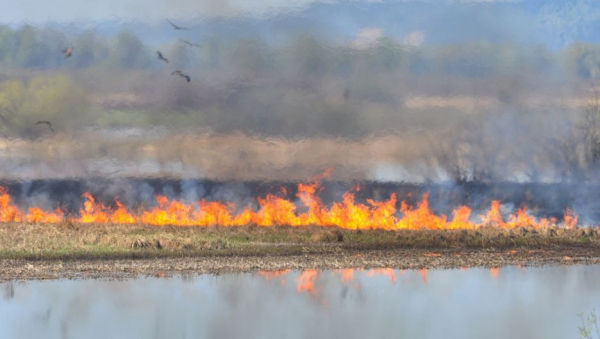 И огонь, и вода. Глава МЧС в Алтайском крае рассказал, ждут ли регион весенние напасти