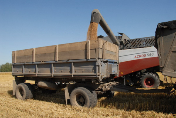 «Нет возможности, честное слово»: алтайские фермеры эмоционально обсудили зерновую систему контроля