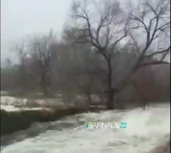 В Алтайском крае вода прорвала дамбу
