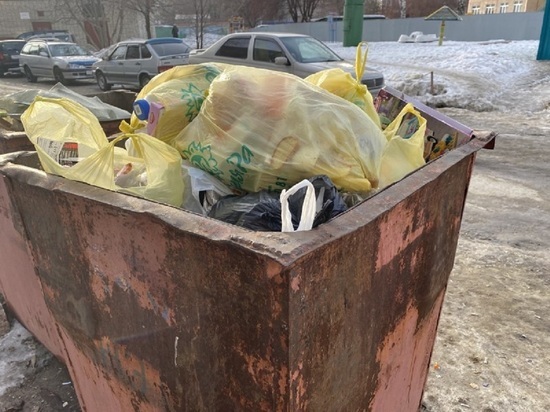 Алтайский край признали отстающим регионом в реализации мусорной реформы