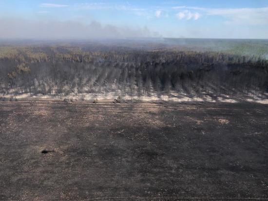Лесной пожар в Алтайском крае тушит самолет-амфибия