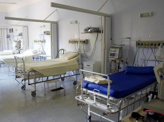 На Алтае собираются развернуть госпиталь из-за оспы обезьян