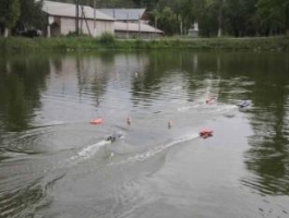 На озере в селе Лебяжье прошло первенство Алтайского края по судомодельному спорту