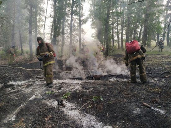 Спасатели продолжают борьбу с сильным пожаром в Угловском районе