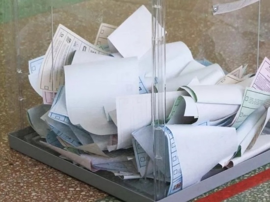 На выборы в Барнаульскую гордуму могут потратить почти 106 млн рублей
