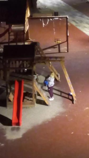Соцсети: Женщины срезали веревочную лестницу на детской площадке