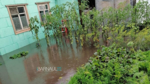 Жители барнаульской улицы пожаловались на подтопления стоками воды после дождей