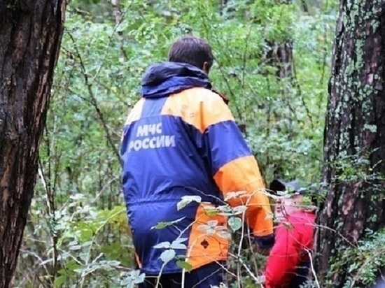 На границе Алтайского края четвертые сутки ищут пропавших в тайге бабушку с внуком