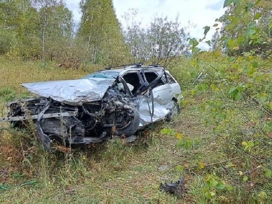 Житель Алтайского края попал в смертельное ДТП в соседней республике