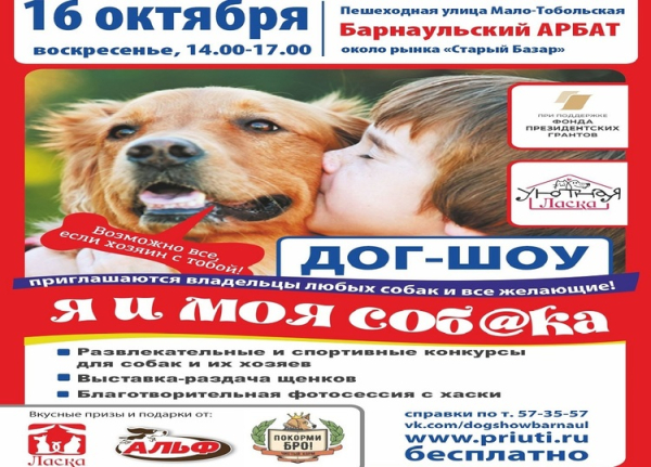 Барнаульцев зовут провести выходные с собаками из приюта