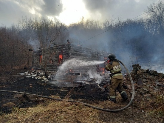 Более 70 спасателей тушили крупный пожар в Змеиногорске