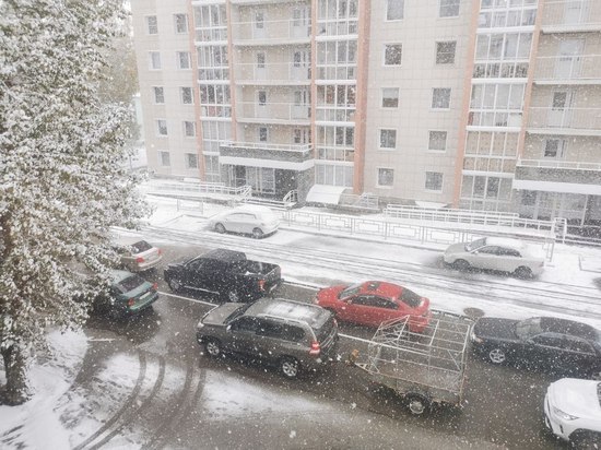 Штормовое предупреждение из-за ветра и мокрого снега объявили в Алтайском крае