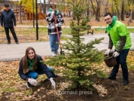 В Изумрудном парке высадили молодые елочки
