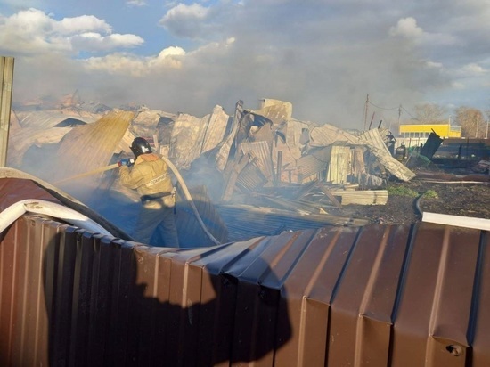 В Сростках полностью сгорело придорожное кафе «Калина Красная»