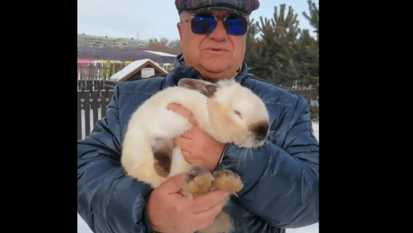 Барнаульский зоопарк призвал горожан не дарить друг другу кроликов на Новый год