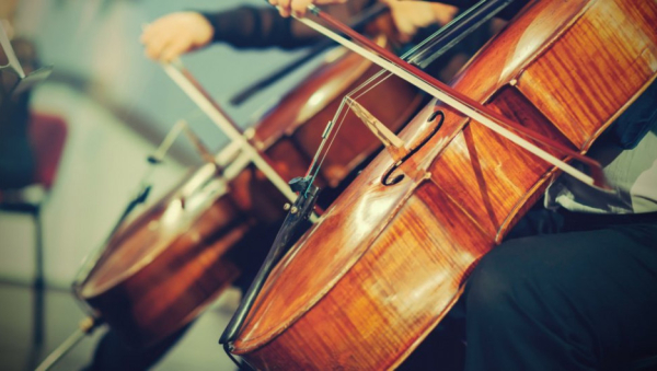 День виолончелиста — 29 декабря. История музыкального праздника