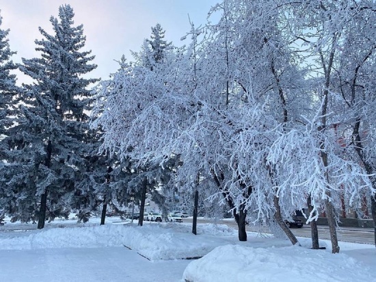 Морозы до-35 градусов ударят по Алтайскому краю 5 декабря