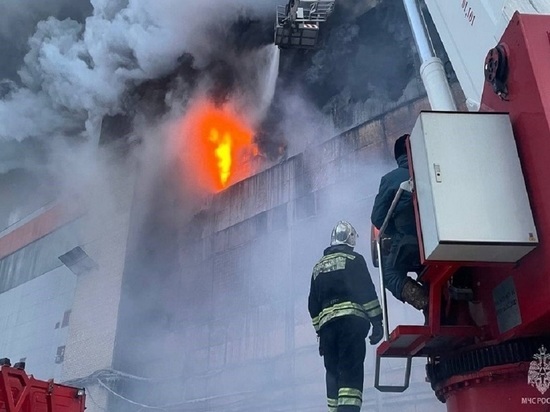 Пострадавший от большого пожара барнаульский завод могут закрыть на полгода