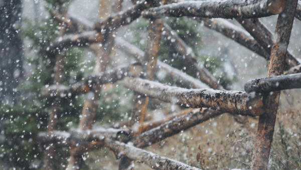 Снег и до -17. Какая погода будет в Алтайском крае 11 декабря