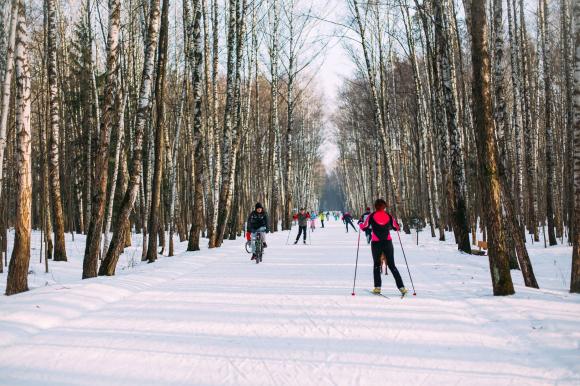 В Юбилейном парке появится лыжная трасса здоровья