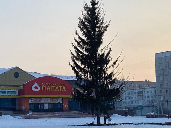 Власти Заринска прокомментировали «лысую» новогоднюю елку, которую обсмеяли горожане