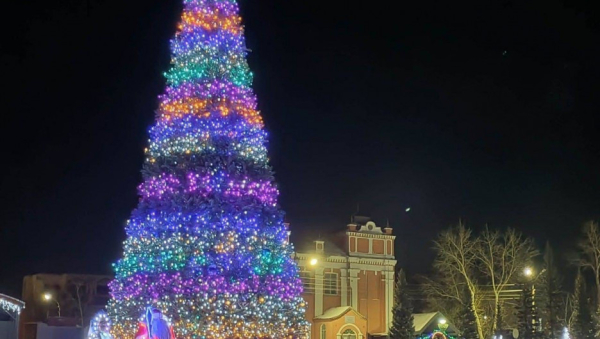 Жители Славгорода обрадовались красивой новогодней елке