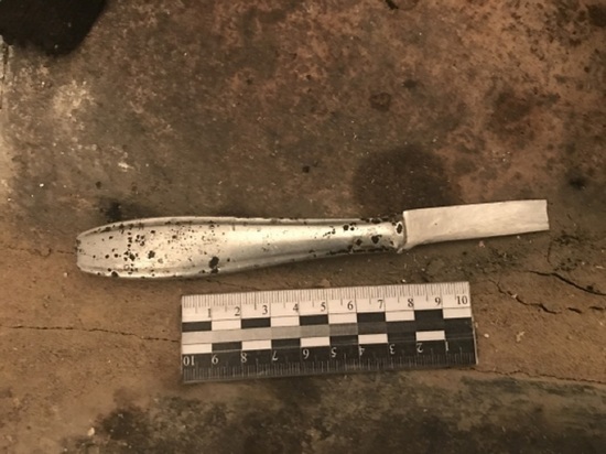 Пьяный житель алтайского села ударил ножом в грудь полицейского