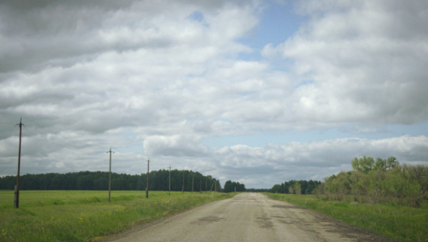 Стала известна точная граница между Новосибирской областью и Алтайским краем