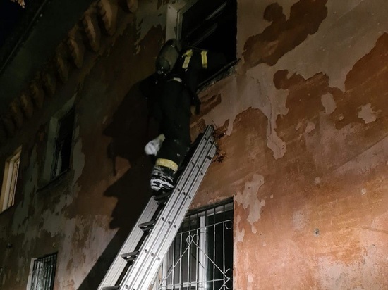 Трех человек спасли через окно на пожаре в барнаульской двухэтажке