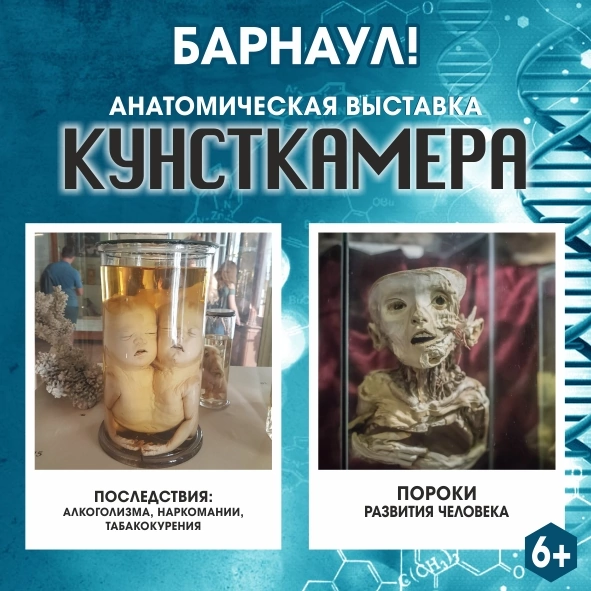 В Барнауле работают три познавательных выставки!!!