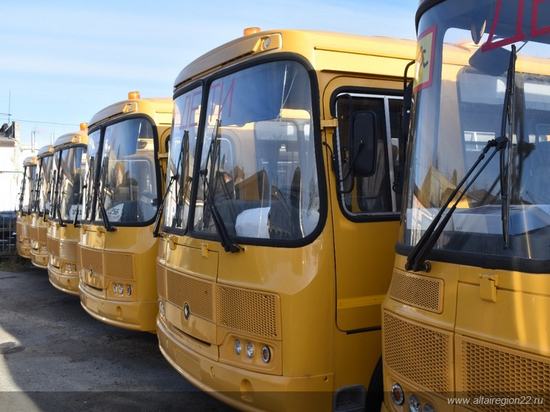 В нескольких районах Алтайского края автобусы не смогли отвезти детей в школу